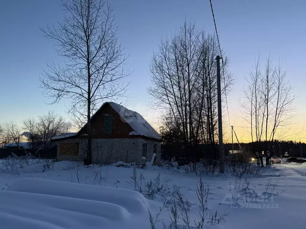 Участок в Курганская область, Каргапольский муниципальный округ, ... - Фото 2