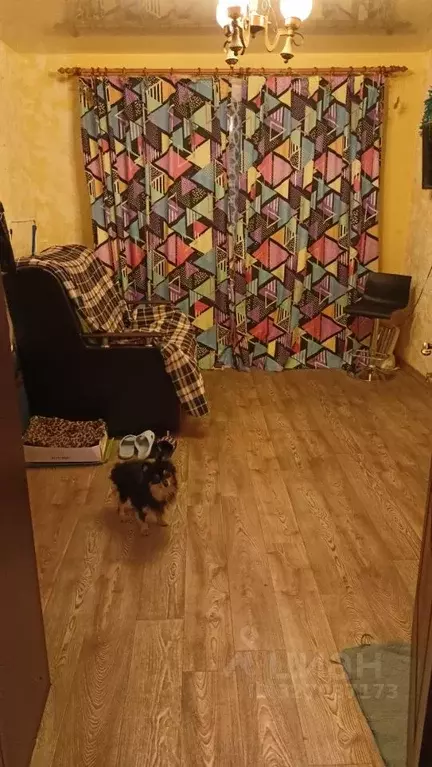 Комната Мурманская область, Мурманск ул. Капитана Буркова, 29 (12.5 м) - Фото 2