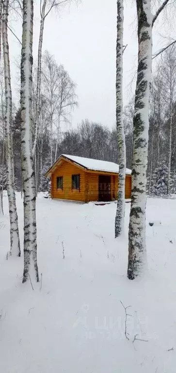 Участок в Ленинградская область, Ломоносовский район, Лопухинское ... - Фото 2