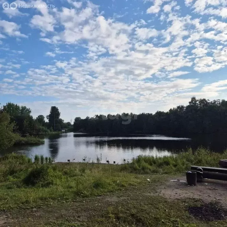 1-комнатная квартира: деревня Гарболово, 267 (32 м) - Фото 2