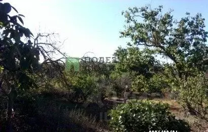 Участок в Севастополь Гагаринский муниципальный округ,  (8.0 сот.) - Фото 1