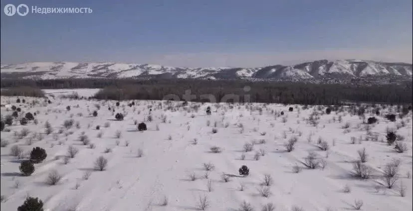 Участок в Айский сельсовет, территория Черемшанка (15 м) - Фото 1