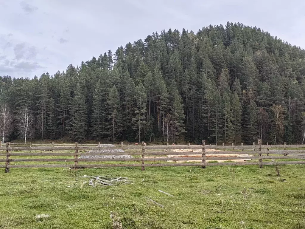 Участок в Алтай, Турочакский район, с. Турочак Березовая ул. (10.0 ... - Фото 0