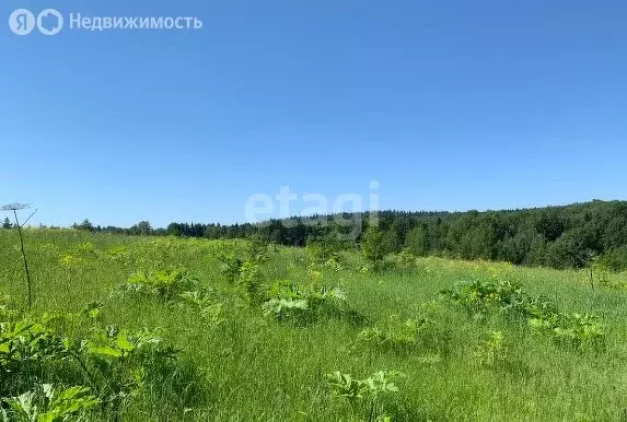 Участок в Пермский муниципальный округ, деревня Пашня (12.16 м) - Фото 1