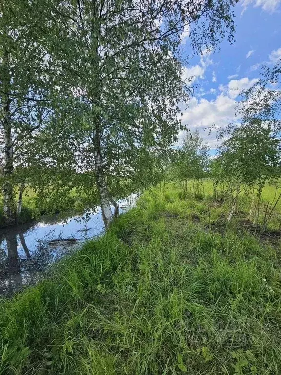 Участок в Московская область, Щелково городской округ, д. Большие ... - Фото 1