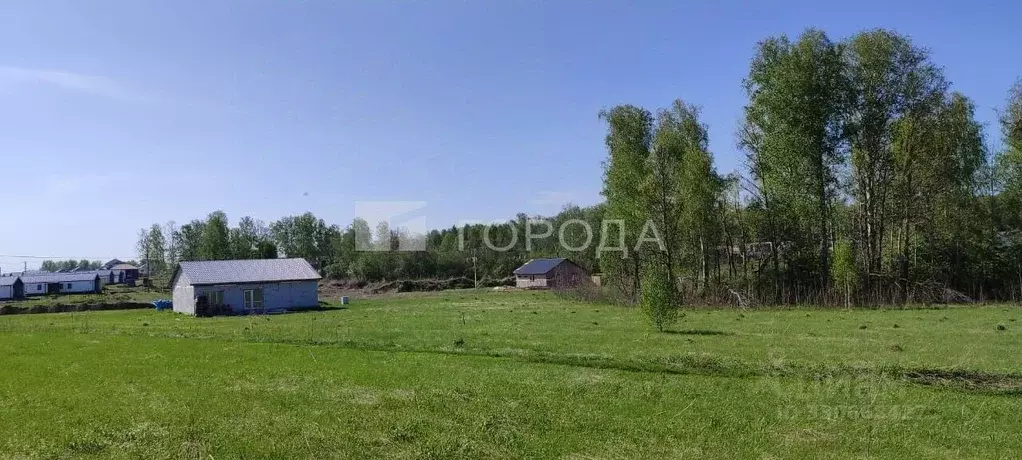 Участок в Алтайский край, Первомайский район, с. Фирсово ул. Рябиновая ... - Фото 1