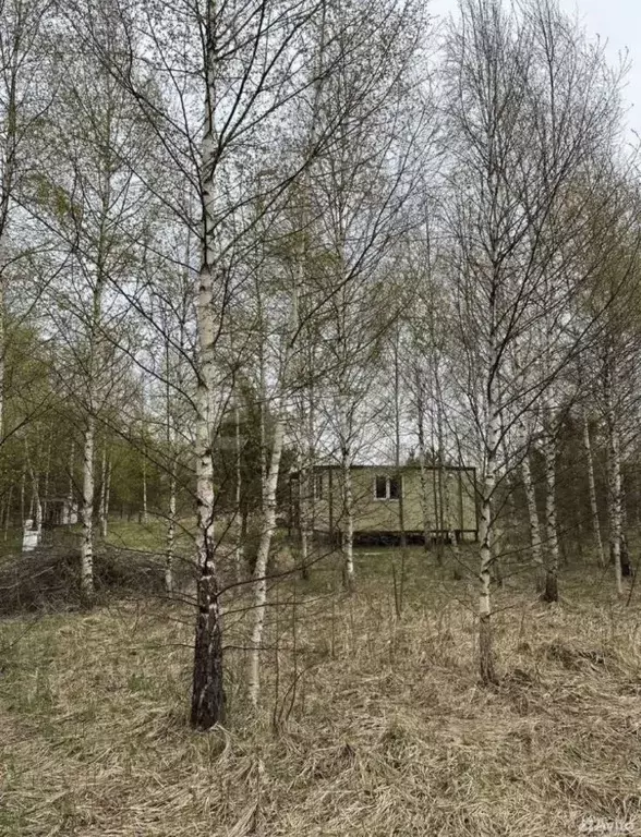 Участок в Ярославская область, Некрасовский муниципальный округ, д. ... - Фото 1