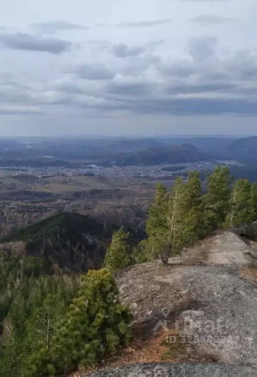 Участок в Алтай, Турочакский район, с. Турочак ул. Шукшина, 24 (10.5 ... - Фото 1