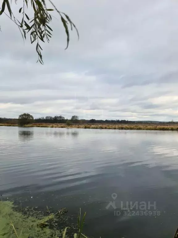 Участок в Тамбовская область, Тамбовский муниципальный округ, с. ... - Фото 1