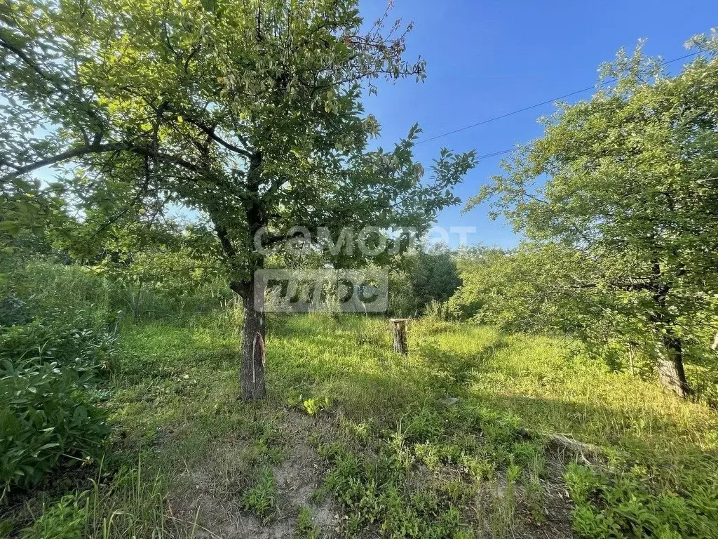 Участок в Нижегородская область, Нижний Новгород Мыза СНТ,  (5.3 сот.) - Фото 1