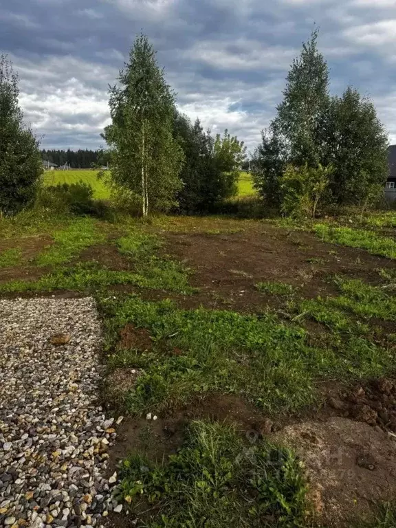 Участок в Владимирская область, Александров ул. Спасская (10.0 сот.) - Фото 1