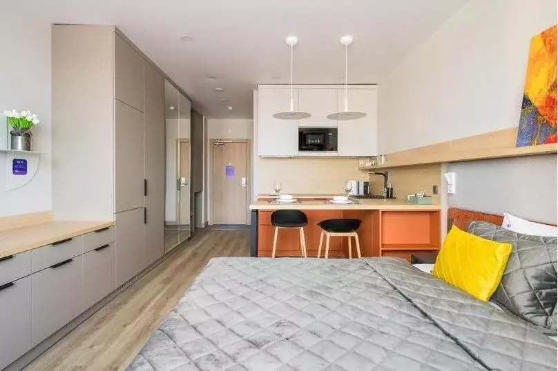 1-к кв. Санкт-Петербург бул. Измайловский, 1к2 (26.0 м) - Фото 2