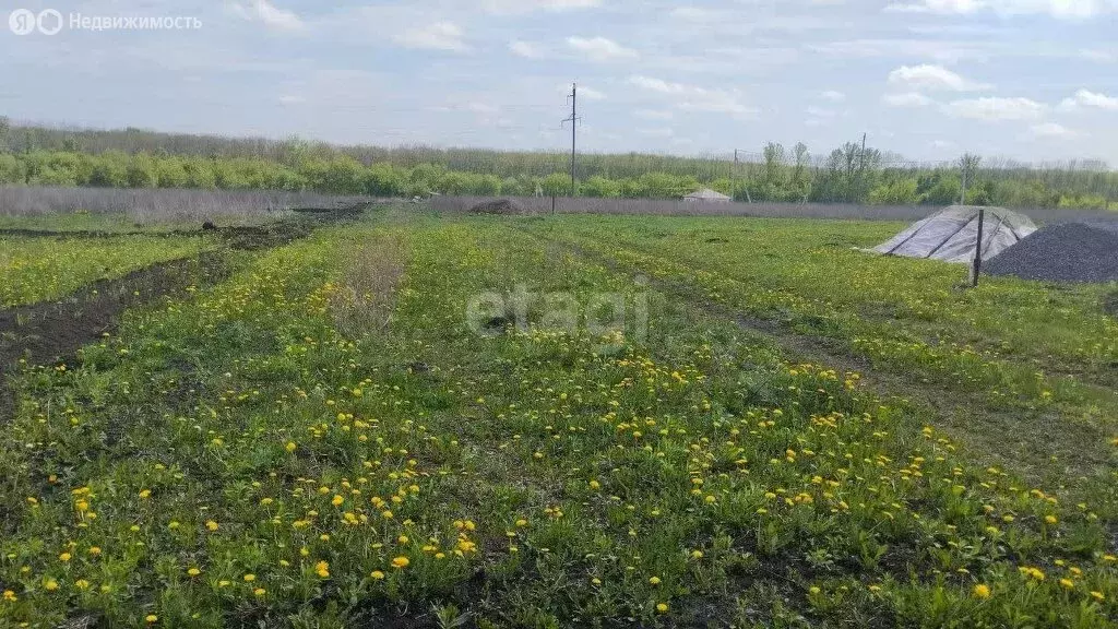 Участок в Белгородская область, Яковлевский муниципальный округ, село ... - Фото 1