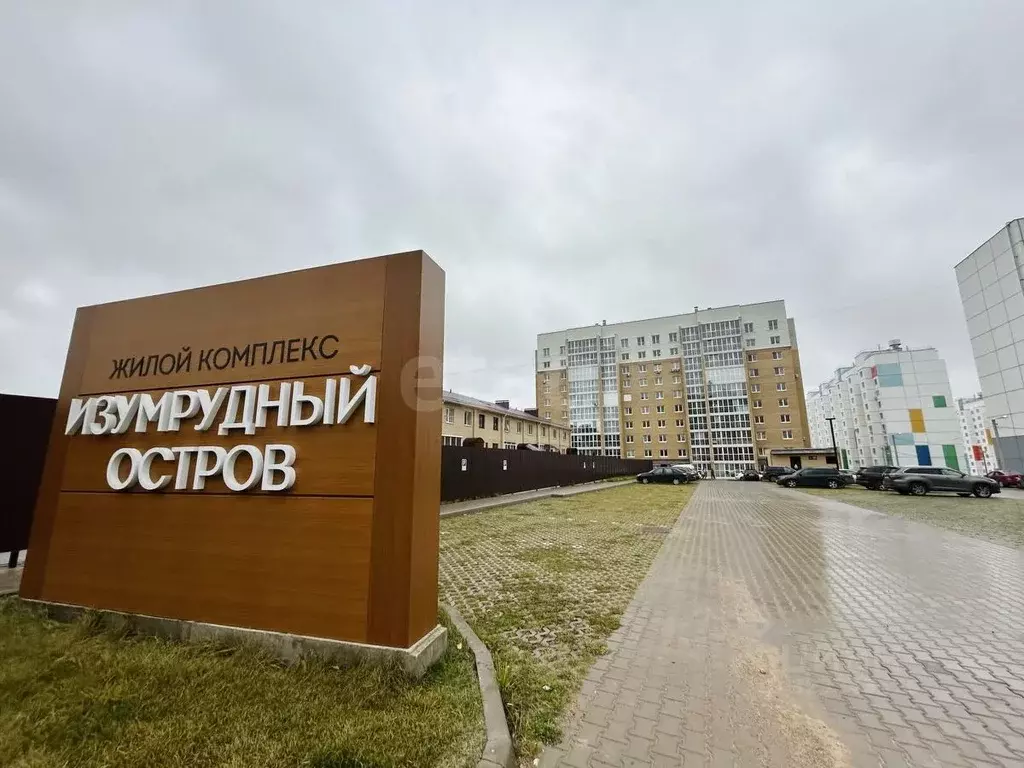 1-к кв. Смоленская область, Смоленский муниципальный округ, д. ... - Фото 2