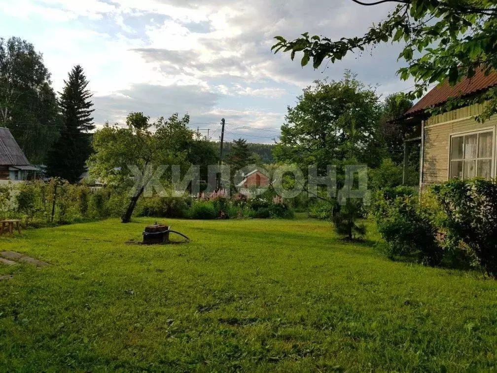 Дом в Тогучинский район, станция Буготак (40 м) - Фото 1