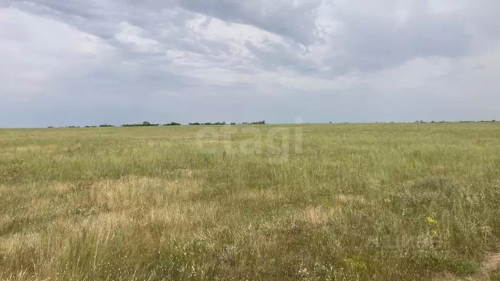Участок в Крым, Евпатория городской округ, Новоозерное пгт ул. ... - Фото 0