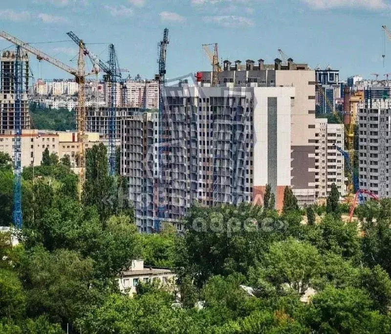 1-к кв. Воронежская область, Воронеж просп. Труда, 3 (36.9 м) - Фото 1