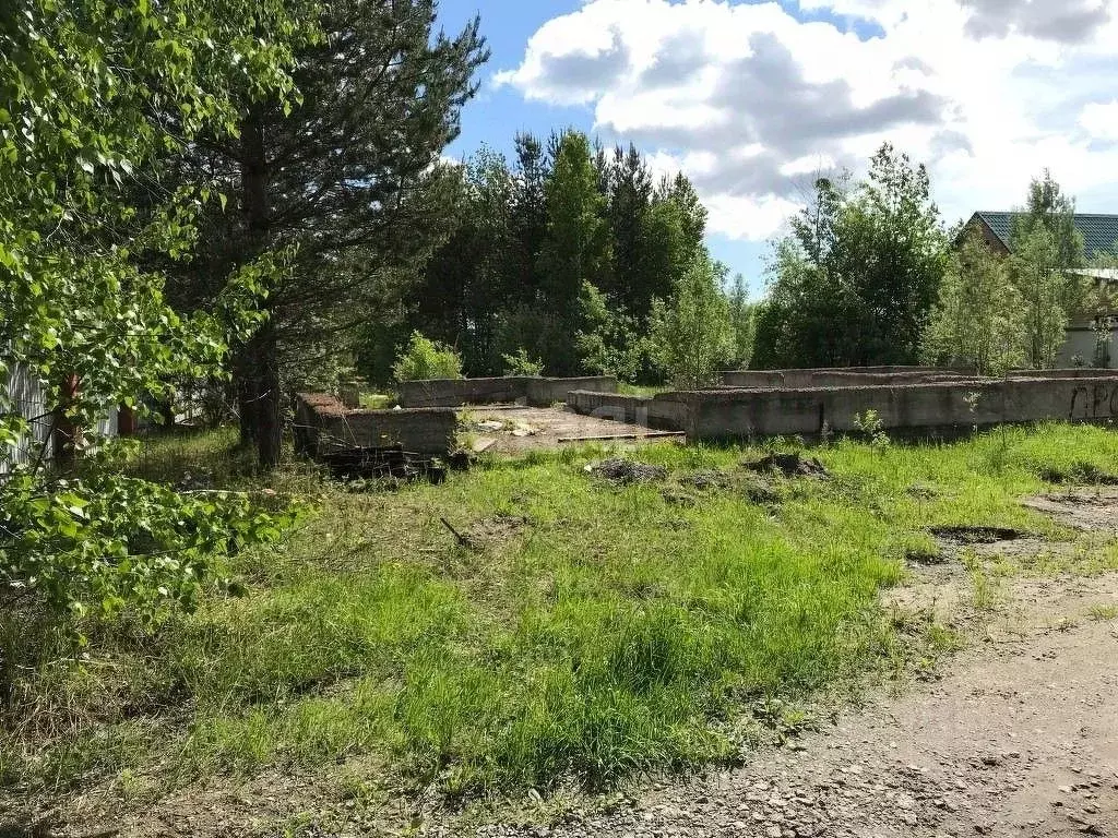 Участок в Ханты-Мансийский АО, Сургут Сосновый бор дачный ... - Фото 1