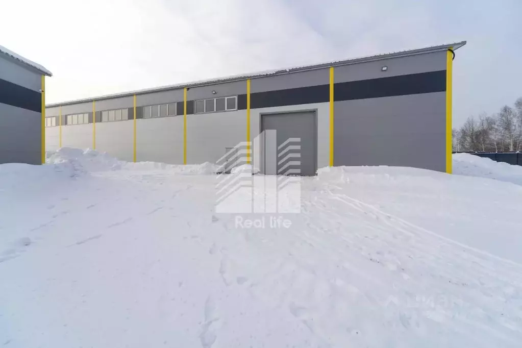 Склад в Московская область, Домодедово городской округ, д. Шахово 1Ф ... - Фото 1