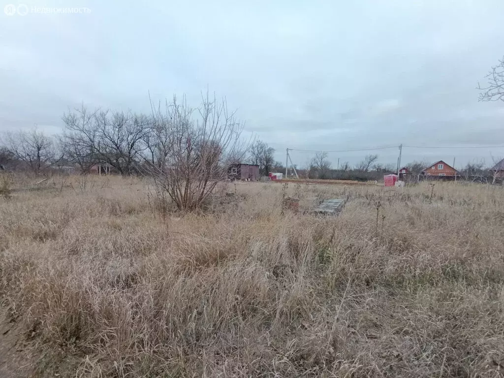 Участок в Ейск, СНТ Виктория (5 м) - Фото 1