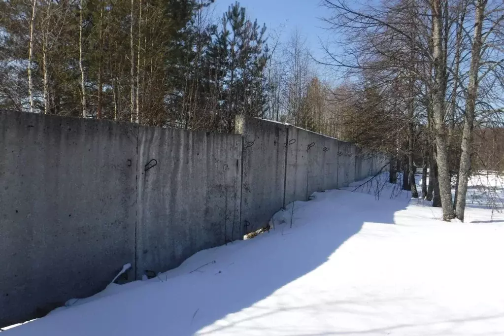 Производственное помещение в Костромская область, Нея ул. Чехова, 14 ... - Фото 2