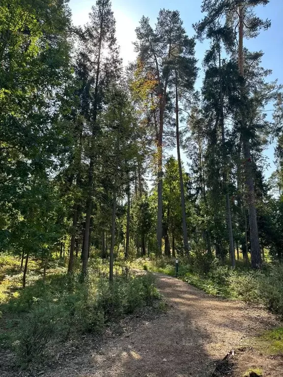 Участок в Московская область, Одинцовский городской округ, пос. ... - Фото 1