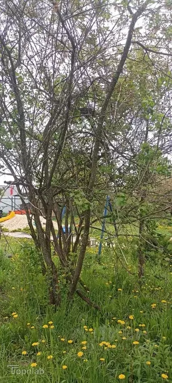 Участок в Рязанская область, Рязанский район, Дядьковское с/пос, д. ... - Фото 2