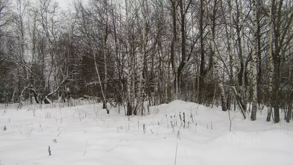 Участок в Московская область, Рузский муниципальный округ, д. ... - Фото 0