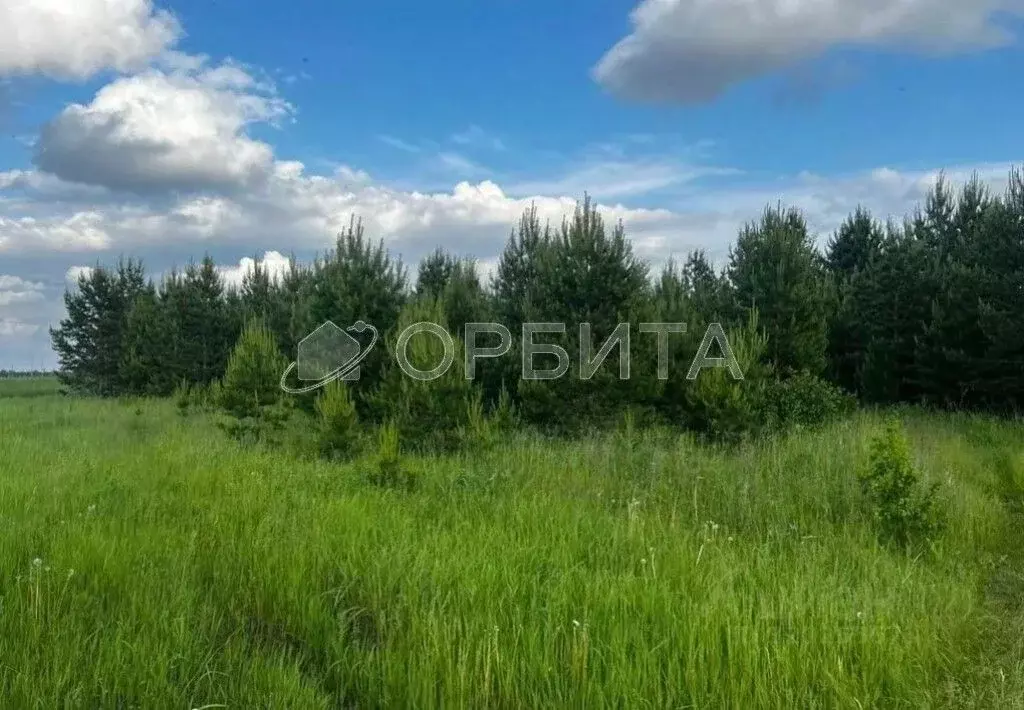 Участок в Свердловская область, Тугулым пгт ул. Весенняя (12.5 сот.) - Фото 0