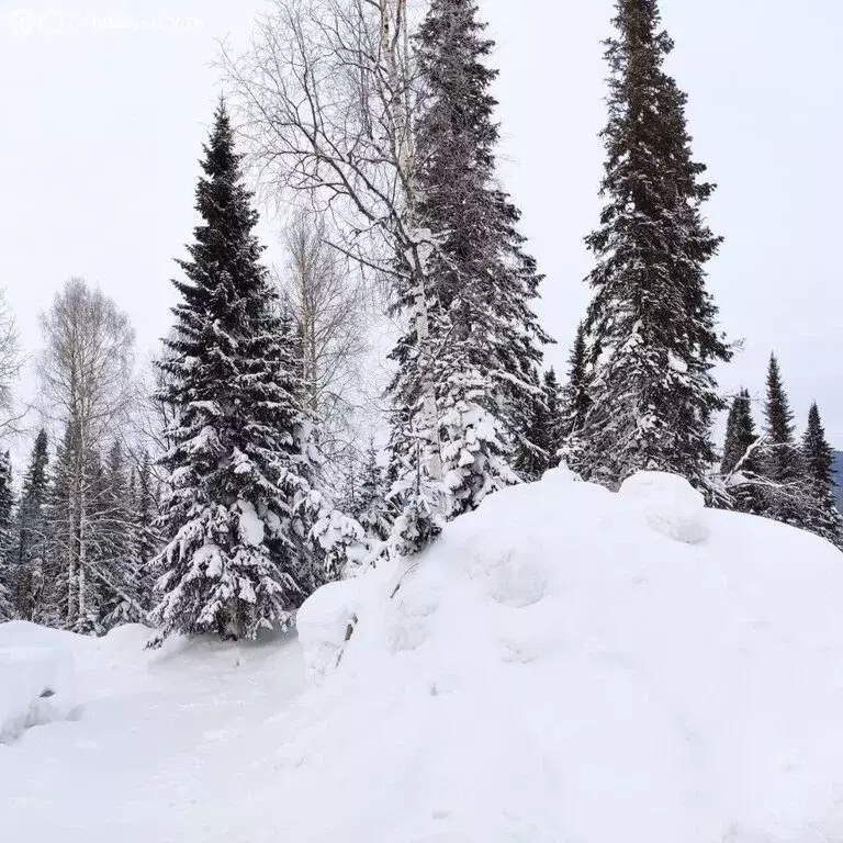Участок в посёлок городского типа Шерегеш, Славянская улица (12 м) - Фото 2