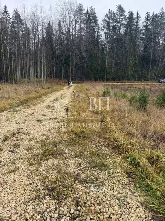 Участок в Ленинградская область, Гатчинский муниципальный округ, д. ... - Фото 1