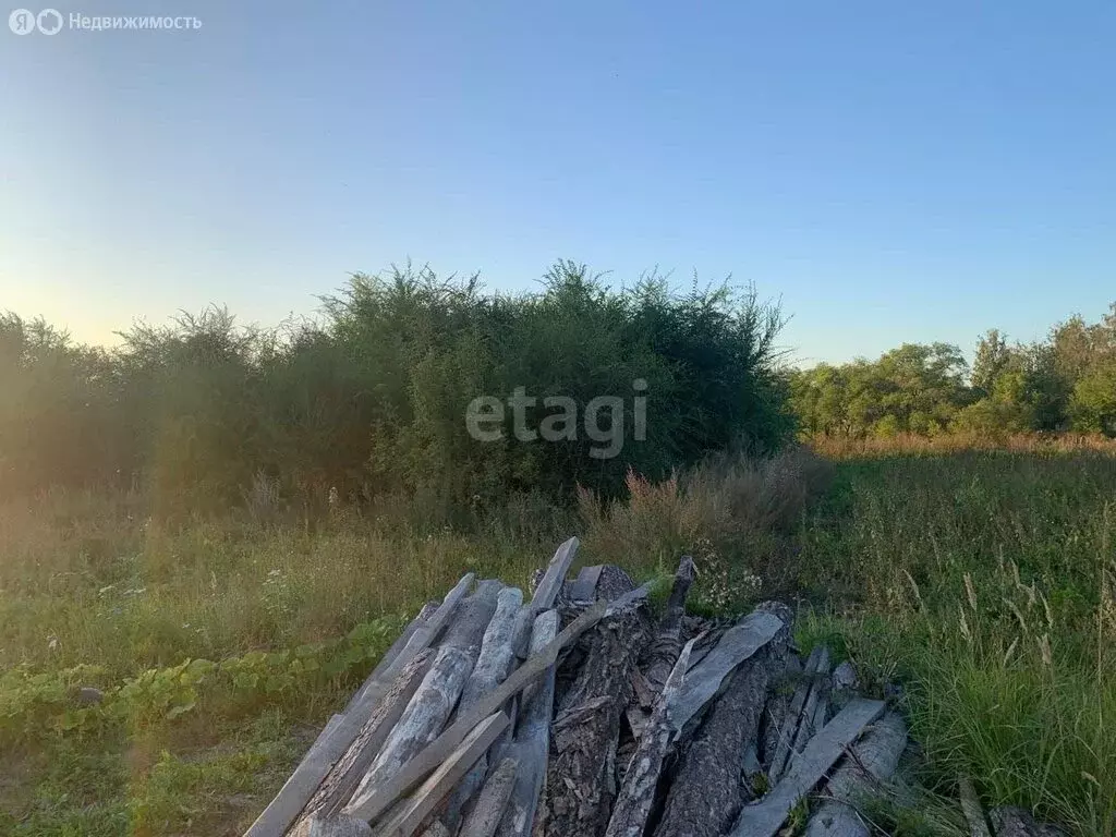 участок в ульяновский район, рабочий посёлок ишеевка, улица мичурина . - Фото 0