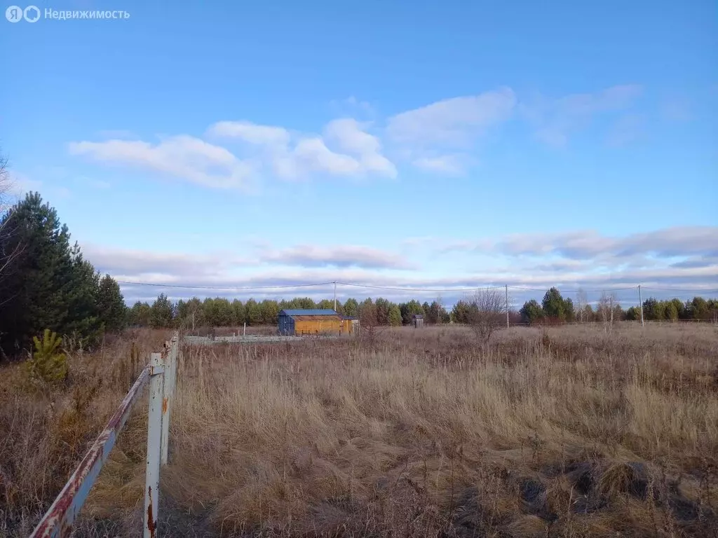 Участок в Челябинская область, Каслинский муниципальный округ, родовое ... - Фото 2