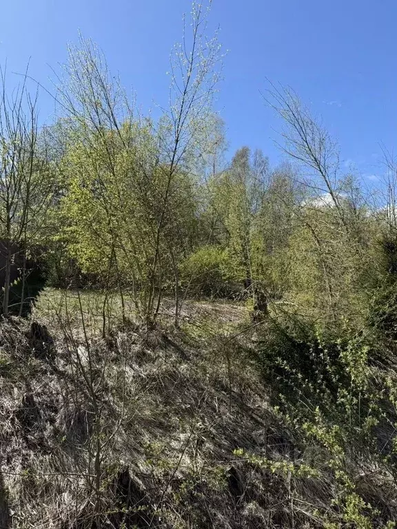 Участок в Московская область, Дмитровский муниципальный округ, д. ... - Фото 1