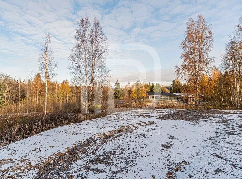 Участок в Ленинградская область, Всеволожский район, Бугровское ... - Фото 1