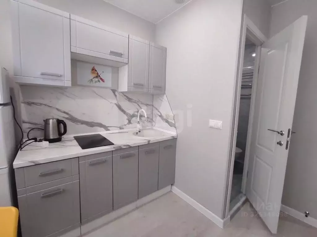 Студия Москва ул. Шверника, 17К3 (13.0 м) - Фото 1