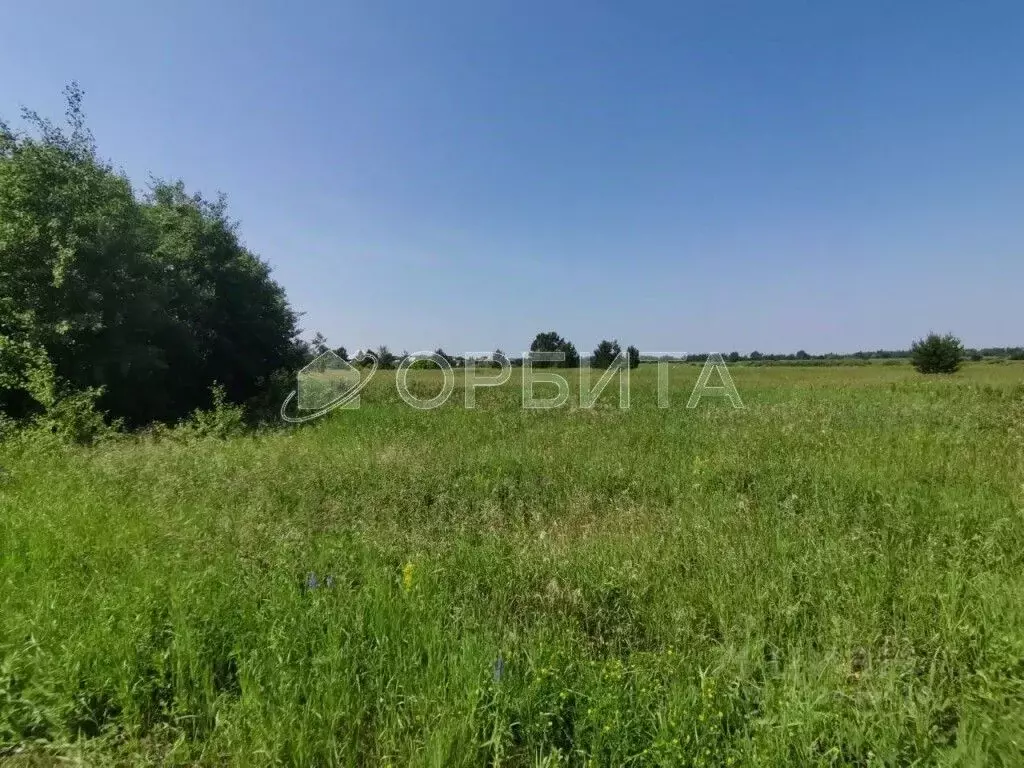 Участок в Тюменская область, Тюменский район, д. Ошкукова Новая ул., ... - Фото 1