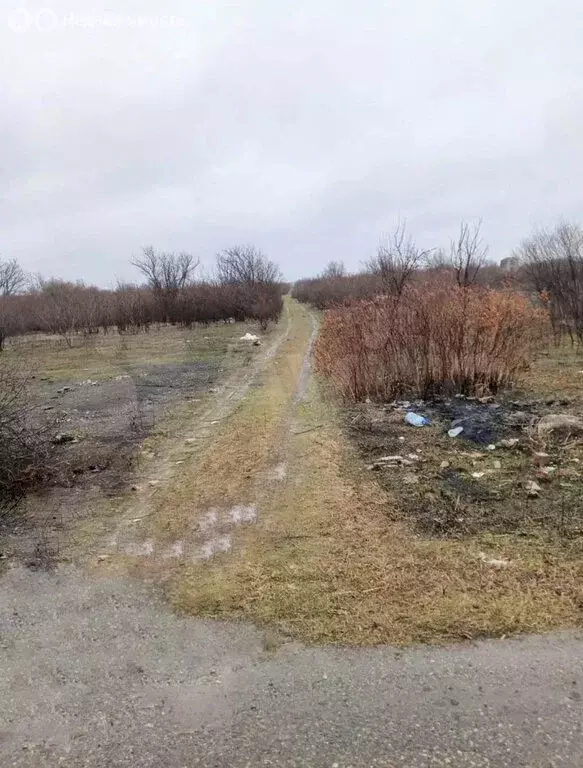 Участок в Ейск, садоводческое товарищество Весна (5 м) - Фото 0