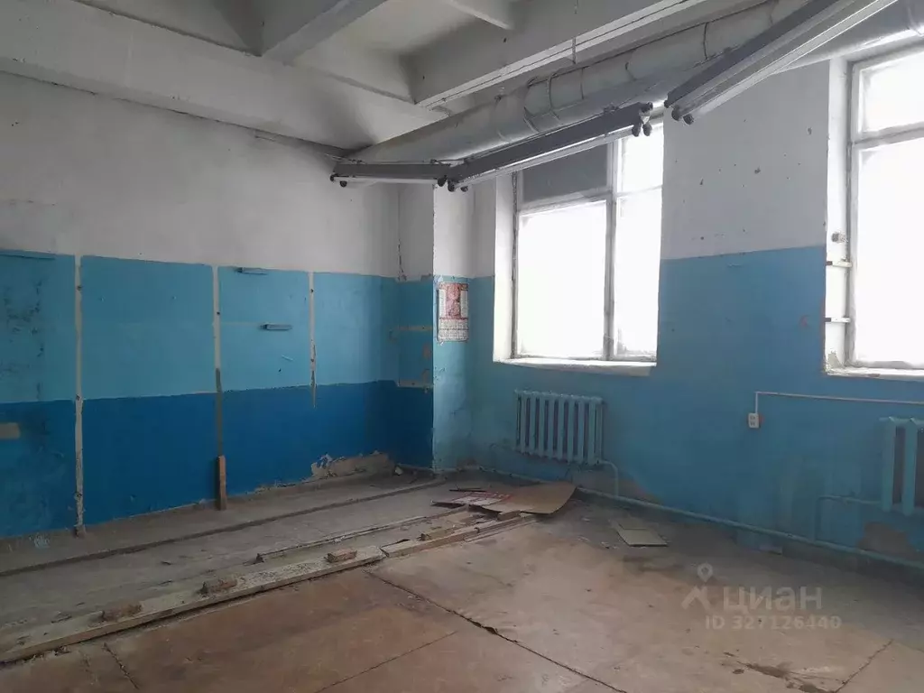 Помещение свободного назначения в Мордовия, пос. Ромоданово ул. ... - Фото 1