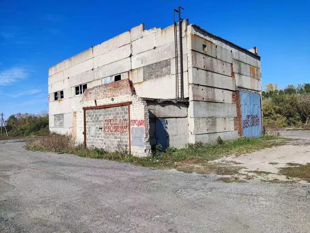 Помещение свободного назначения в Белгородская область, Корочанский ... - Фото 1