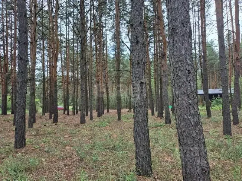 Участок в Тамбовская область, Тамбовский муниципальный округ, с. ... - Фото 1