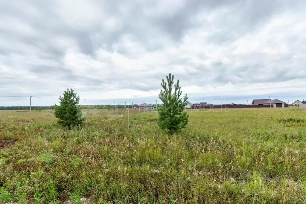 Участок в Тюменская область, Тюменский муниципальный округ, Росток кп  ... - Фото 2