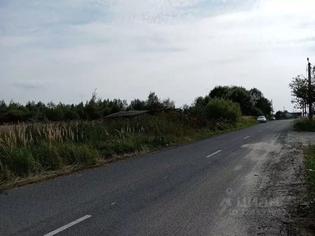 Участок в Брянская область, Брянский район, с. Журиничи Лесная ул. ... - Фото 2