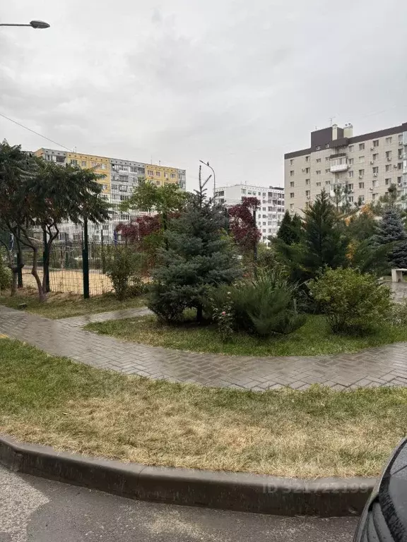 1-к кв. Волгоградская область, Волгоград ул. 8-й Воздушной Армии, 14 ... - Фото 2