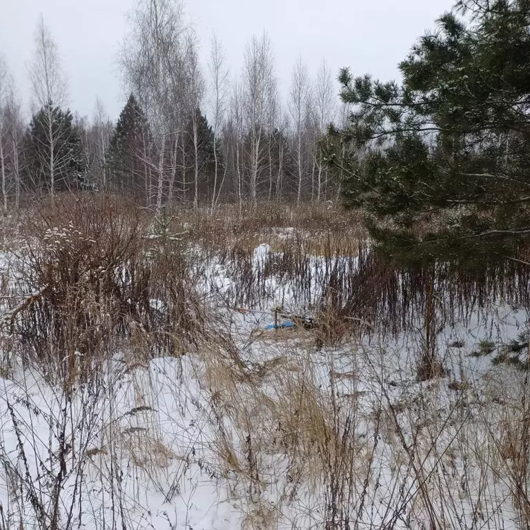 Участок в Липецкая область, Липецк Желтые Пески мкр,  (10.0 сот.) - Фото 2