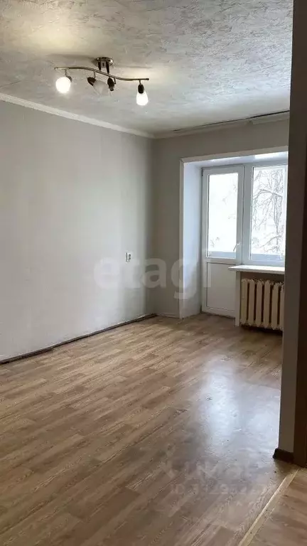 1-к кв. Нижегородская область, Выкса ул. Красные зори, 25А (27.7 м) - Фото 1