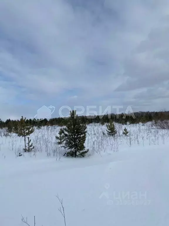 Участок в Тюменская область, Тюменский район, д. Елань 14 (8.0 сот.) - Фото 0