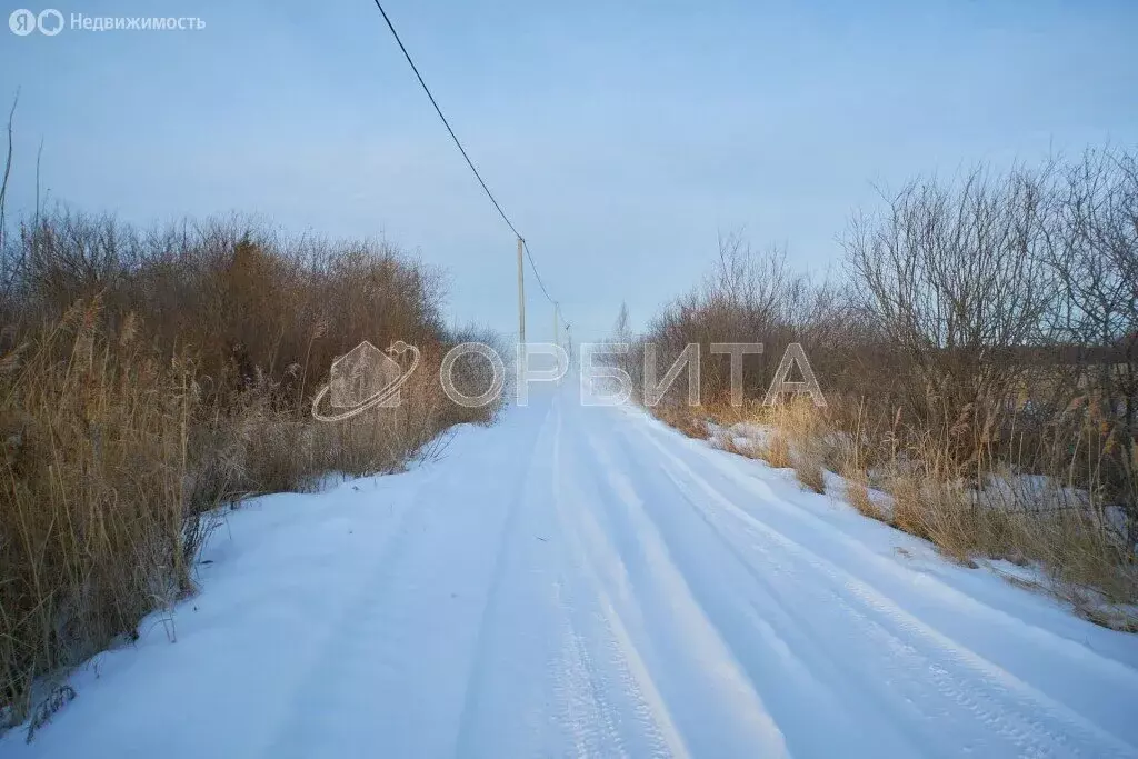 Участок в Ялуторовский район (10 м) - Фото 1