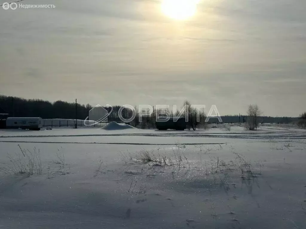 Участок в Нижнетавдинский район, село Бухтал (1171.3 м) - Фото 1