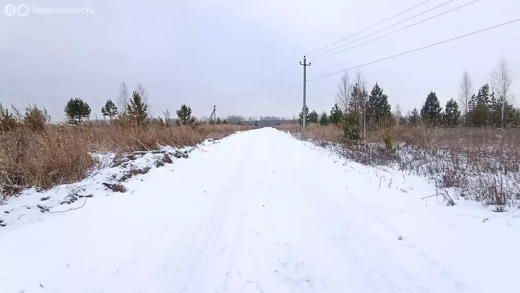 Участок в Нижнетавдинский район, Ключевское сельское поселение, СНТ ... - Фото 0